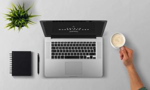 Online Betting for Beginners in Ludhiana Review 2026: Bonus, App, Withdrawal Tested